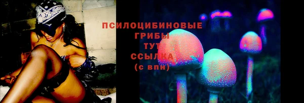 МДМА Горняк
