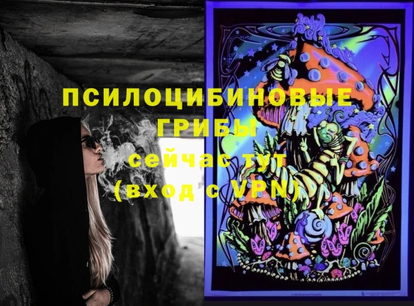 спиды Горнозаводск