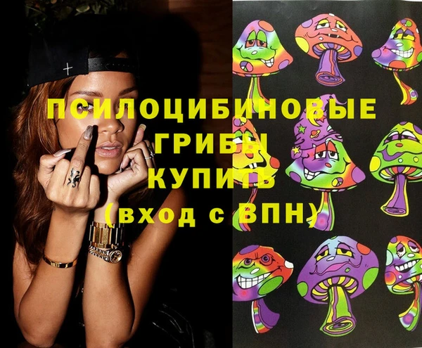 спиды Горнозаводск