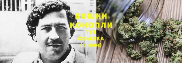 МДМА Горняк