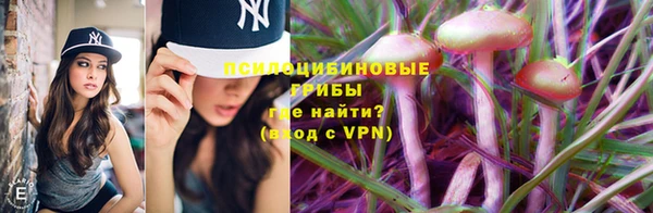 МДМА Горняк